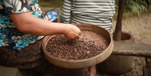 different types of coffee 